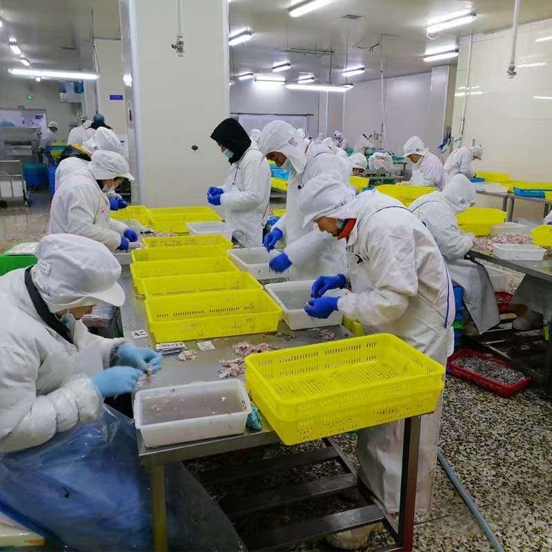 agri-products-brc-exporter