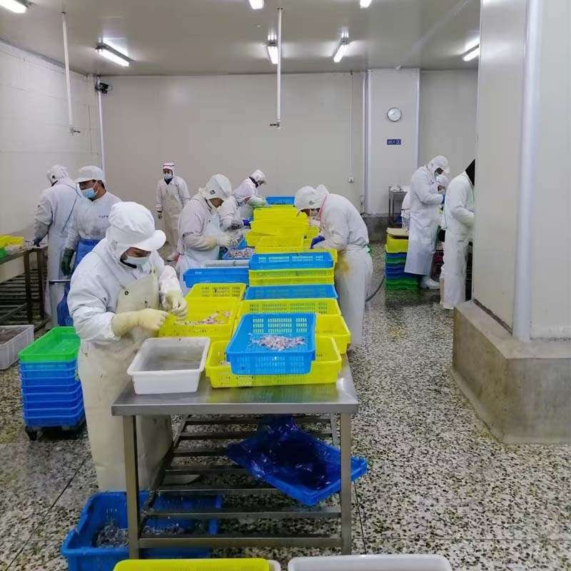 agri-products-exporter -quality-control-frozen-seafood