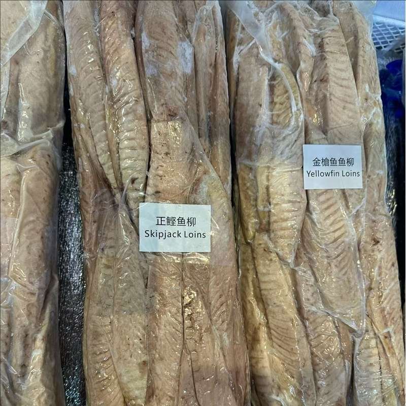 bulk frozen tuna loins supplier