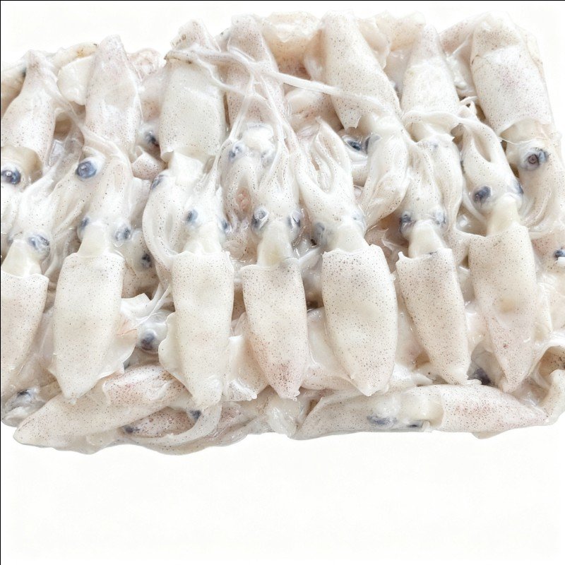 buy whole baby squid loligo japonica block bulk 1