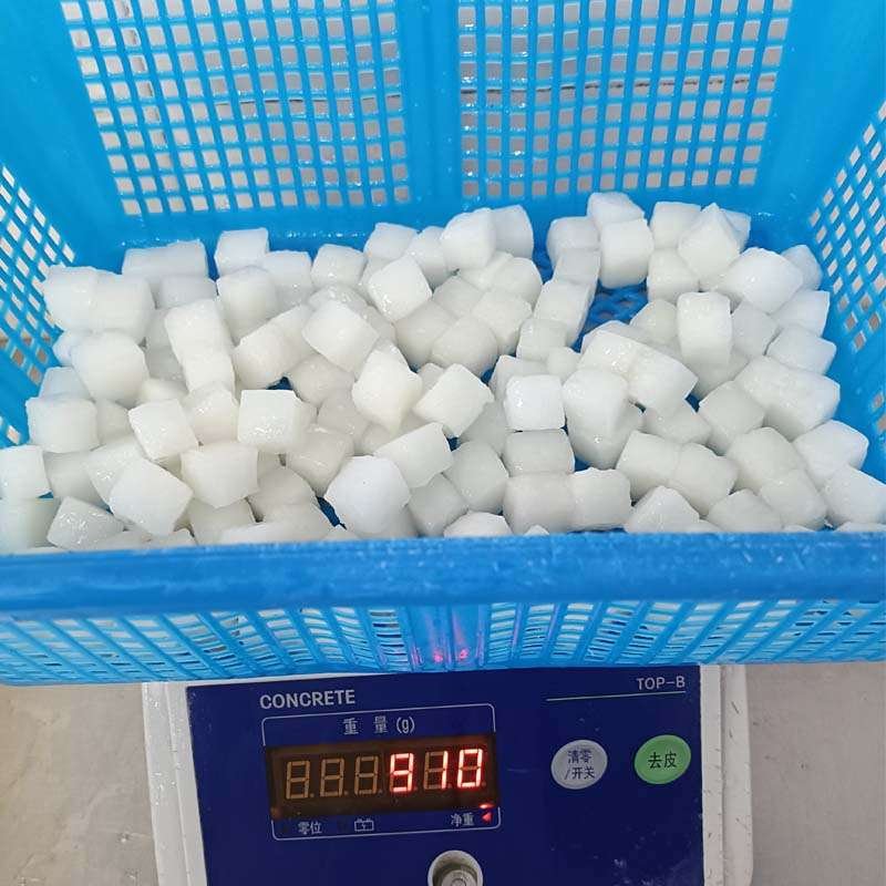 dosidicus-gigas-cubes