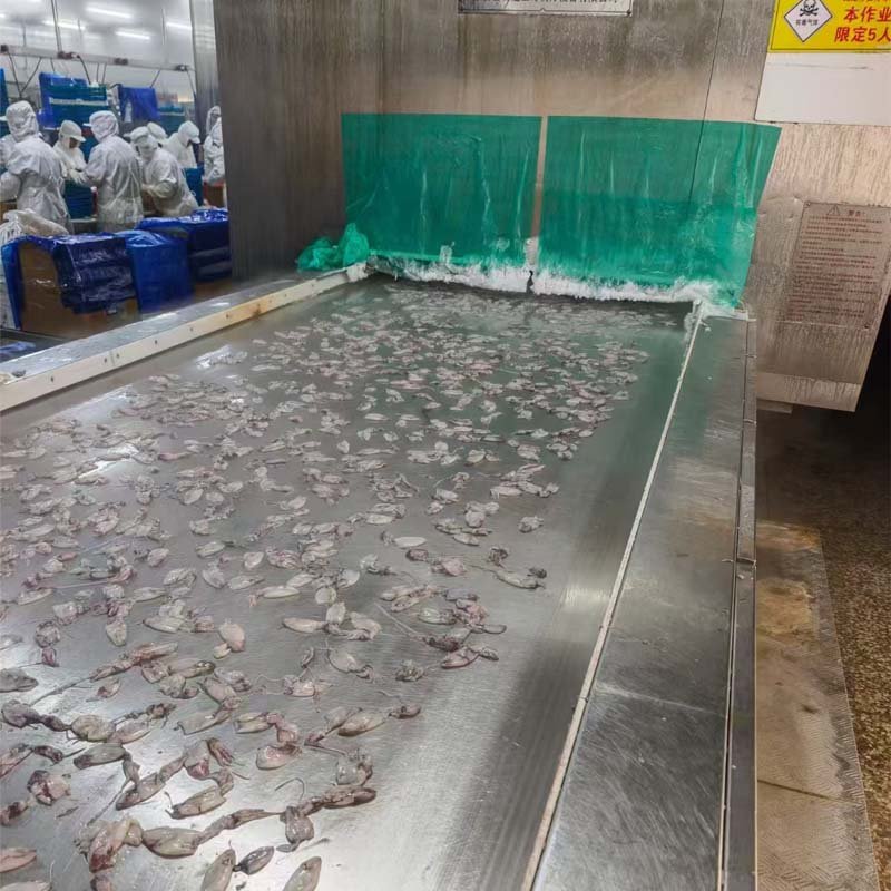 final separation squid knockout iqf