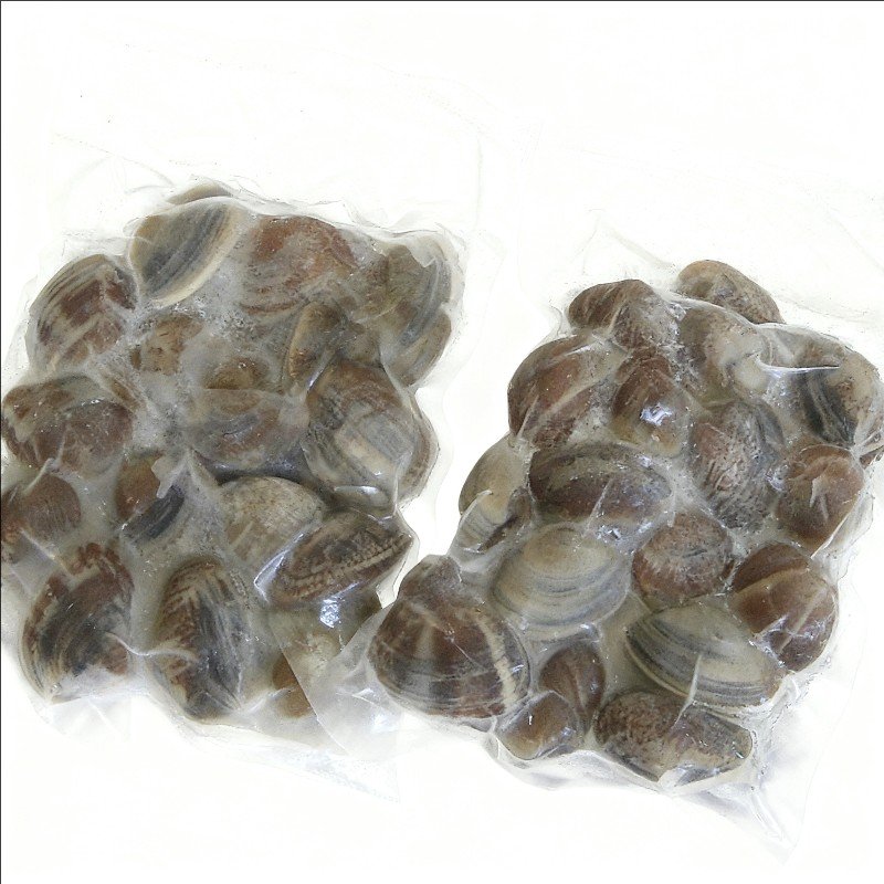 fresh-live-clams-high-grade-sand-free