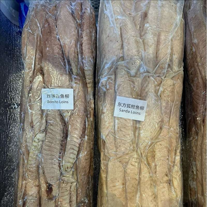 frozen loins bonito sarda pbo dolphin safe