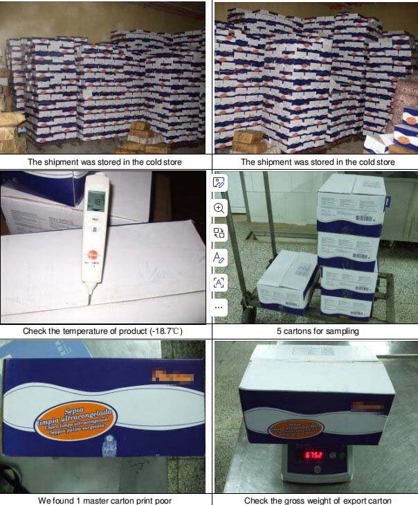 Continuous cold storage temperature 

monitoring for frozen seafood