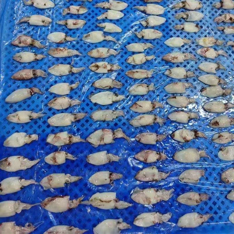 precision-on-the-plate