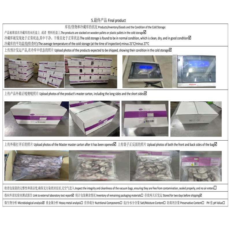 quality-squid-Inspection-finall-product