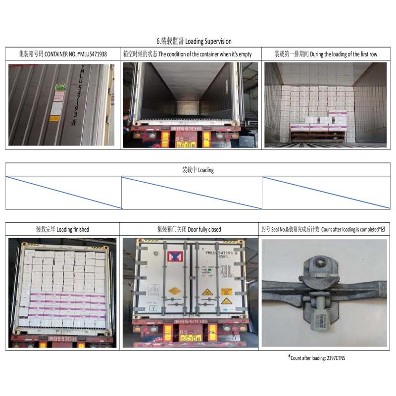 quality-squid-Inspection-loading-supervision