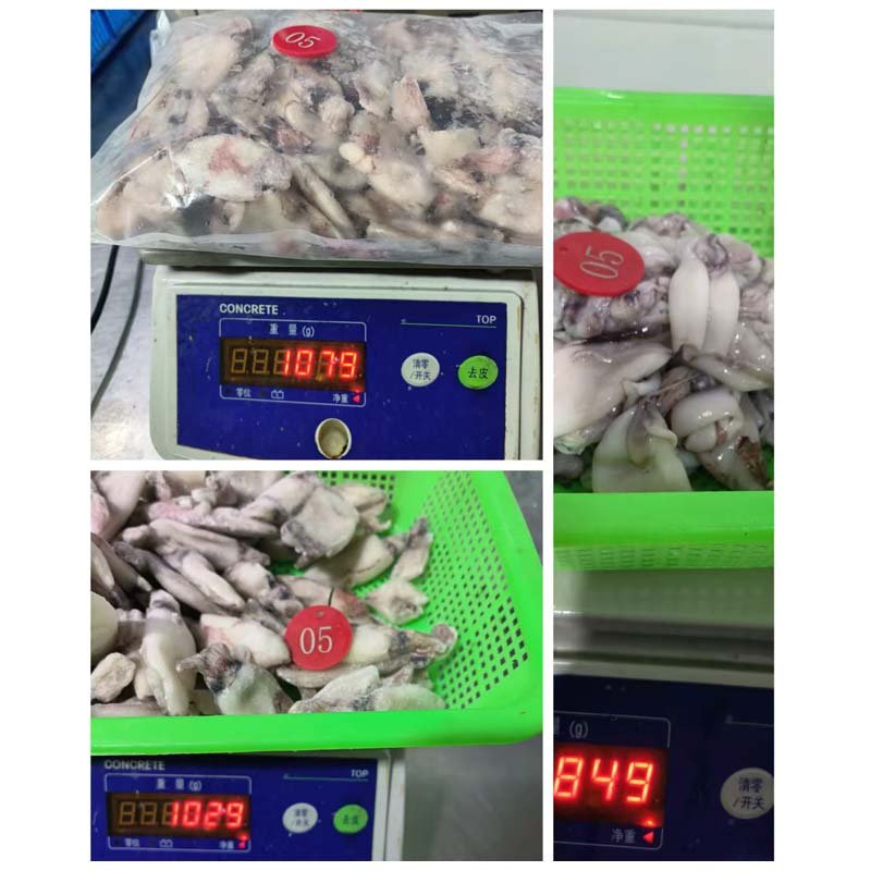 quality-squid-Inspection-weight-per-bag
