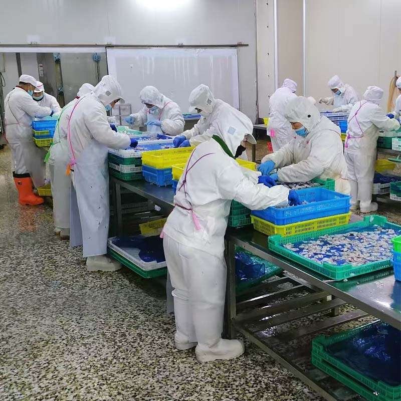 skilled-seafood -processing