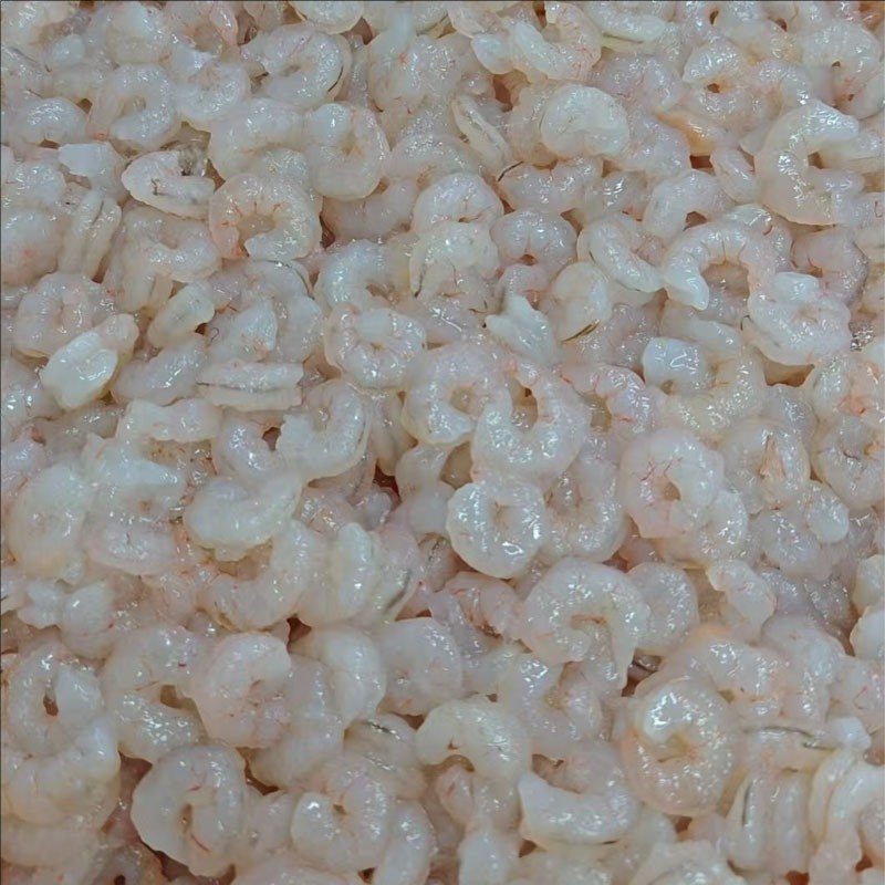 wild pink shrimp supplier